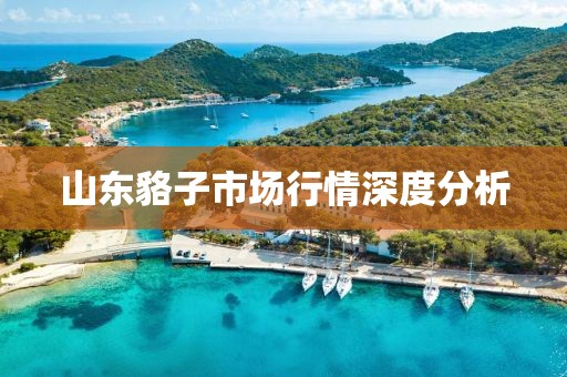 2025全年免費(fèi)資料大全和新澳門天天免費(fèi)謎語(yǔ)題庫(kù),警惕夸大其詞宣傳-全面剖析、專家解析解釋與落實(shí)?